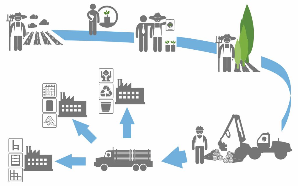 Flow chart which shows the processes of D4EU (unsatisfied farmers due to low yields, contracts with project partners to grow poplar plantations, happy farmer due to well growing poplars, poplar harvest, transportation logistics of the poplar dendromass to 3 different entrepreneurs connected with the production of diverse products) 