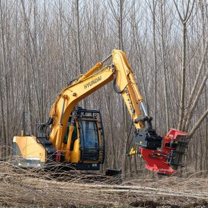 Multi-stem Harvester cutting poplars