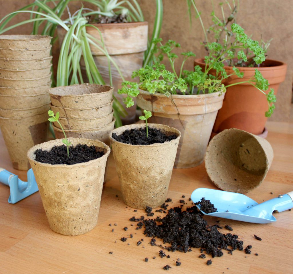 fibre pulp plant pots for gardening