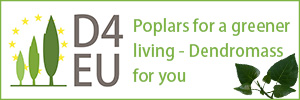 D4EU Logo and Slogan