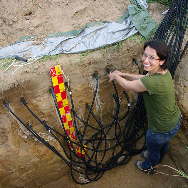 Researcher in Poplar plantation working on water measurement