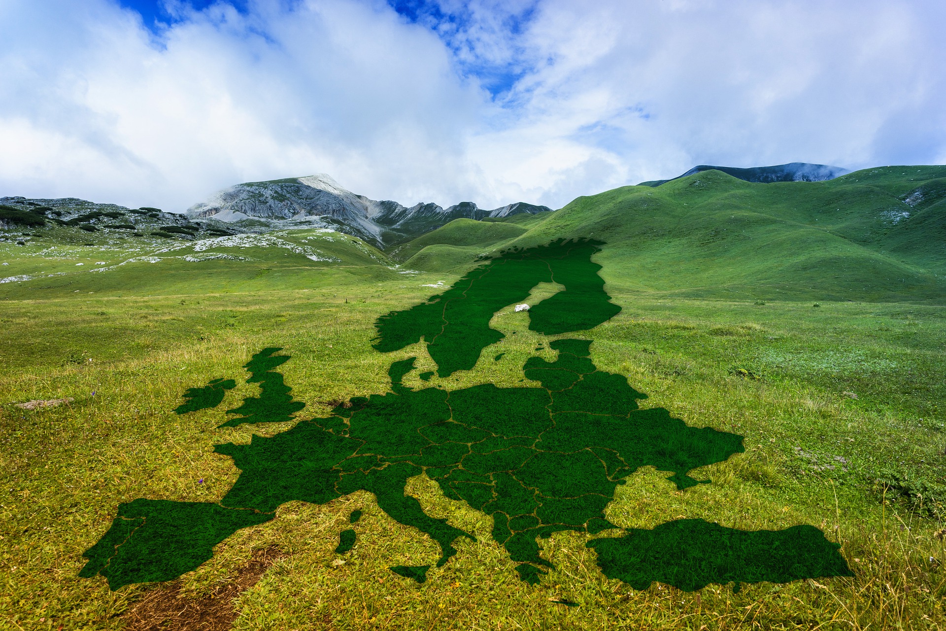 Europe on a Meadow