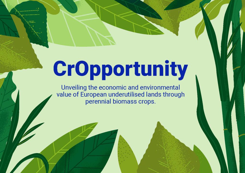CrOpportunity
Unveiling the economic and environmental value of European underutilised lands through perennial biomass crops.
